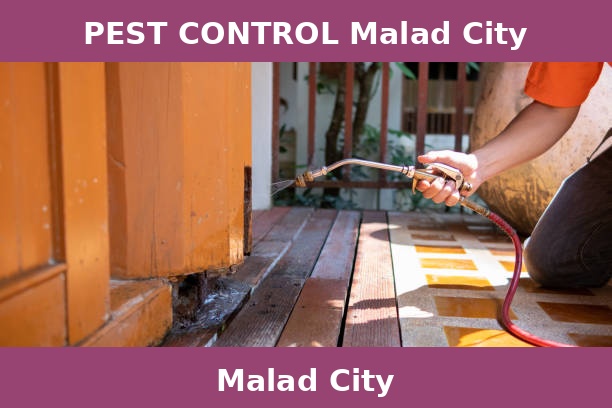 PEST CONTROL Malad City